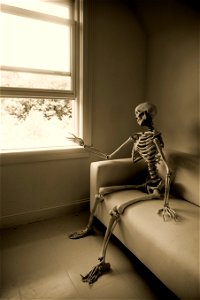 Skeleton Waiting photo