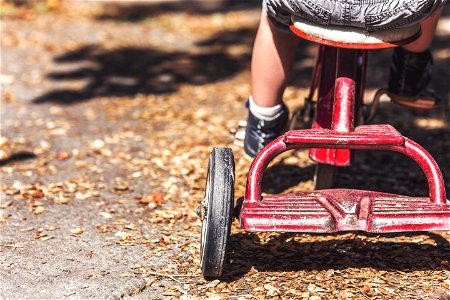 Tricycle Trike