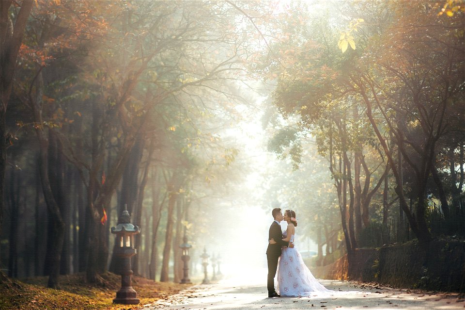 Couple Wedding Kiss