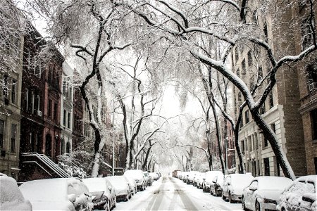Snow New York photo