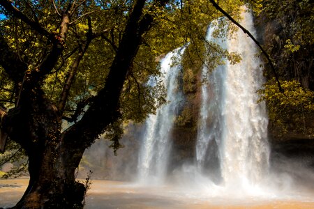 Nature the landscape outdoors