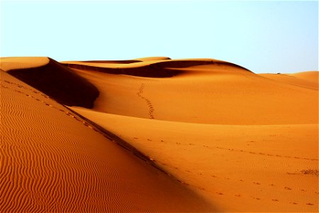 Desert Footprints photo