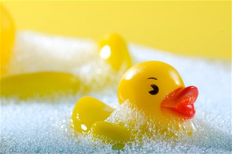 Rubber Duck photo