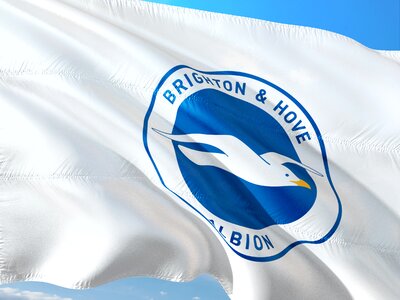 Premier league flag brighton hove albion