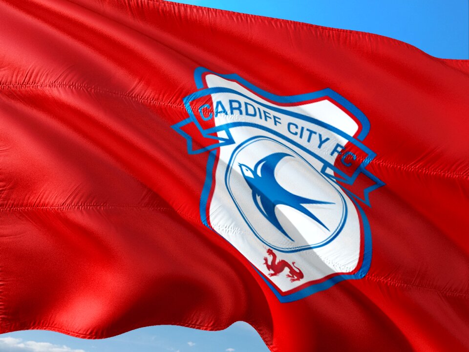 Premier league flag cardiff city