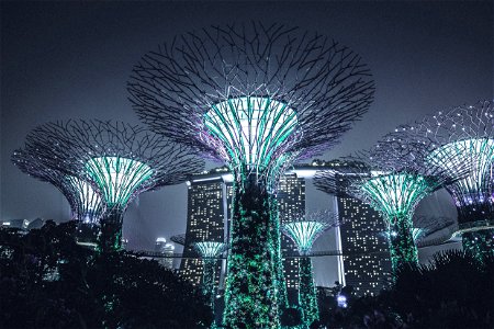 Gardens By The Bay photo