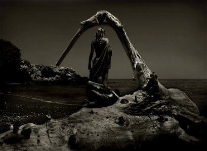 Driftwood Woman photo