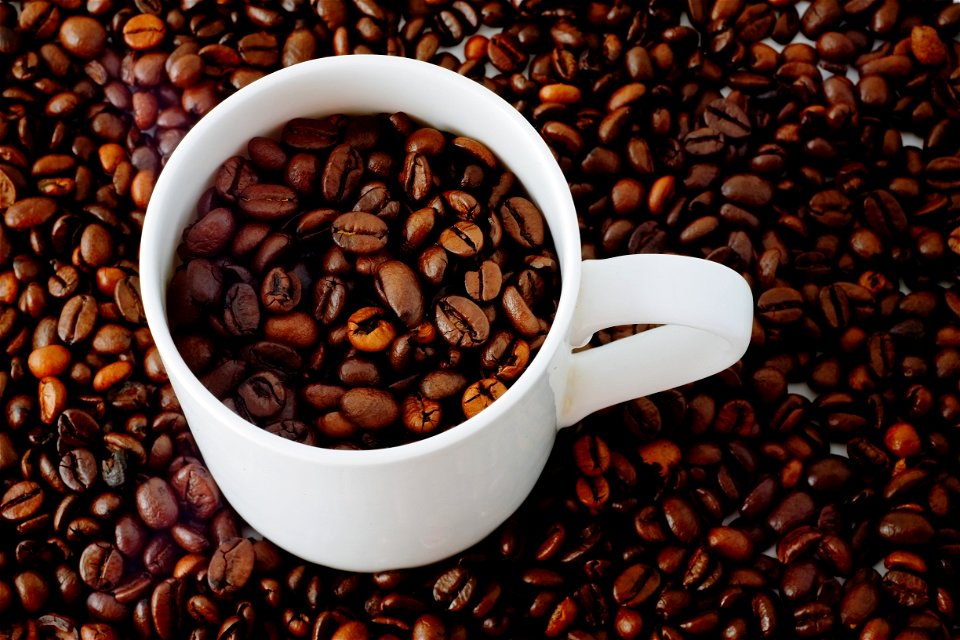 Coffee Bean