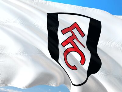 Premier league flag fulham fc