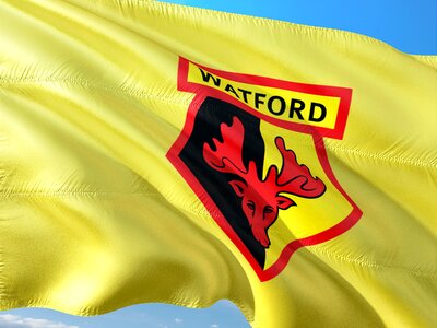 Premier league flag fc watford photo