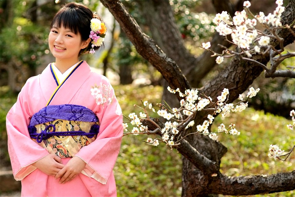 Kimono Plum