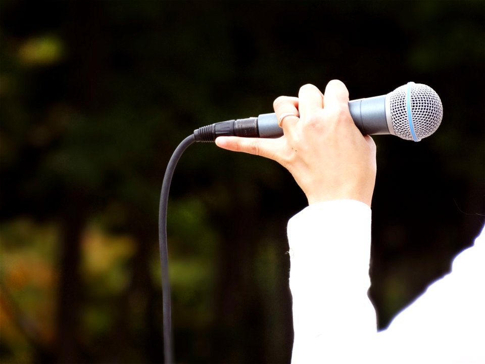 Microphone Hand