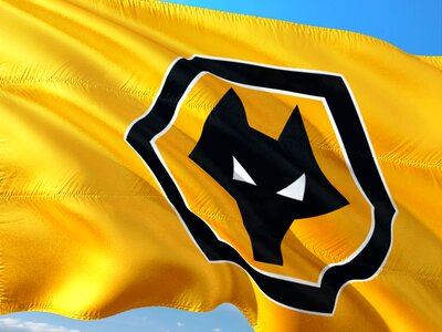 Premier league flag wolverhampton wanderers