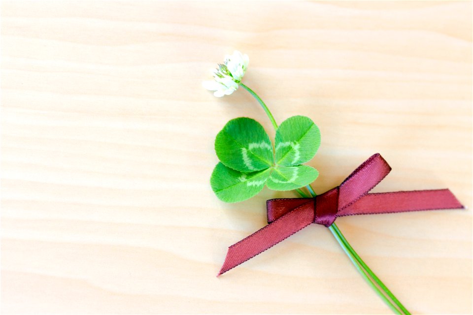 Four Leaf Clover