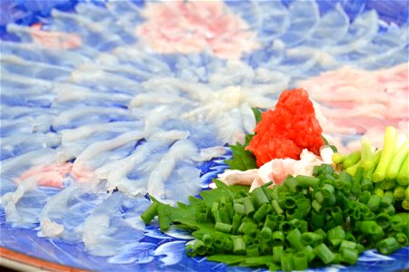 Pufferfish Food photo