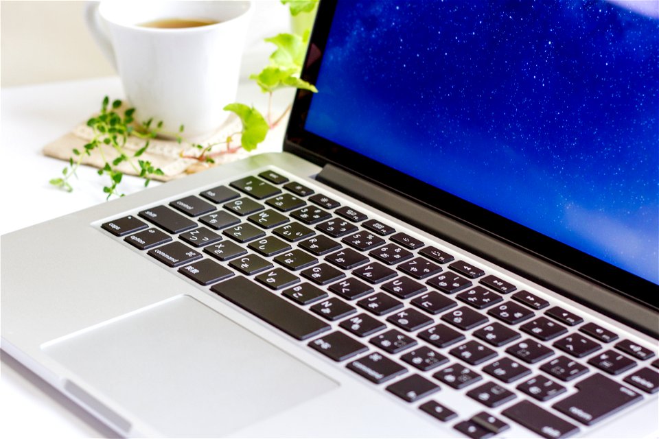 Laptop Herb Tea