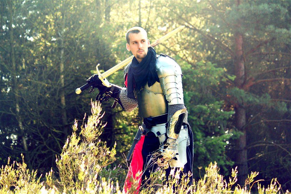 Knight Warrior