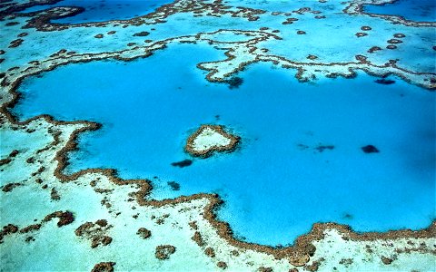 Great Barrier Reef photo