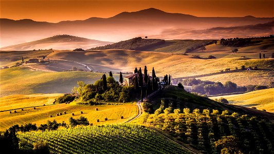 Tuscany Landscape photo