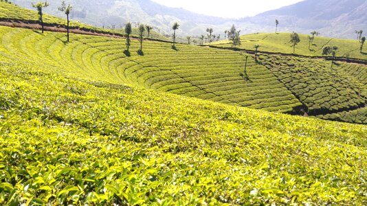 Nature agriculture kerala