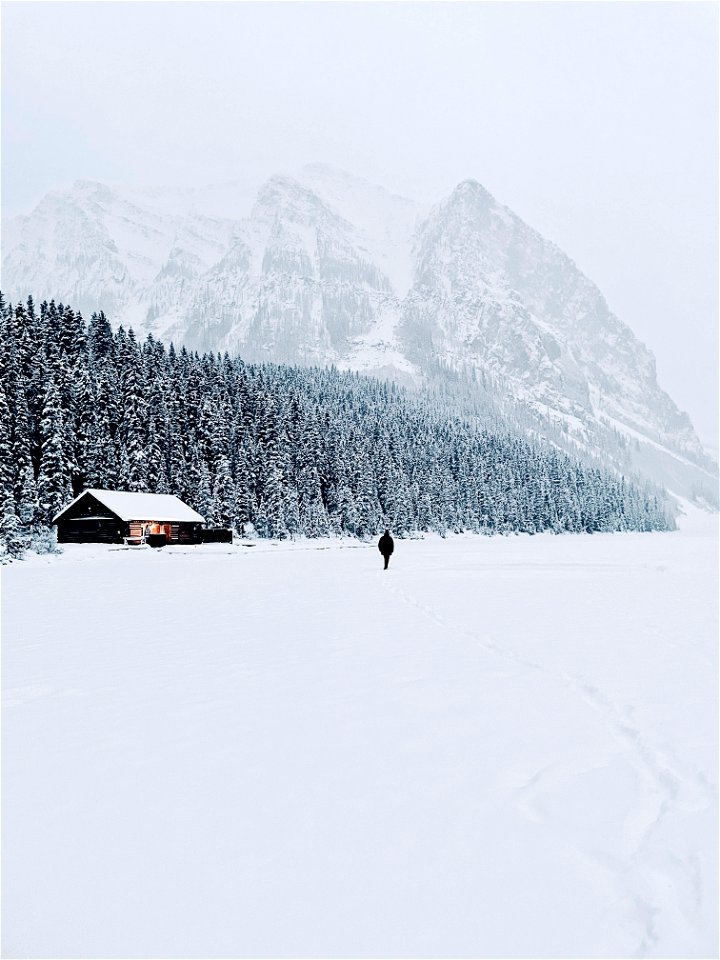 Cabin in the snowfall
