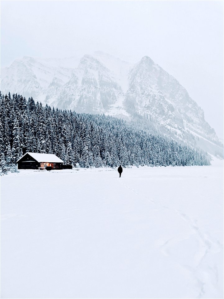 Cabin in the snowfall photo