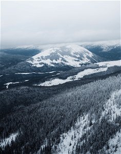 Snowy landscape