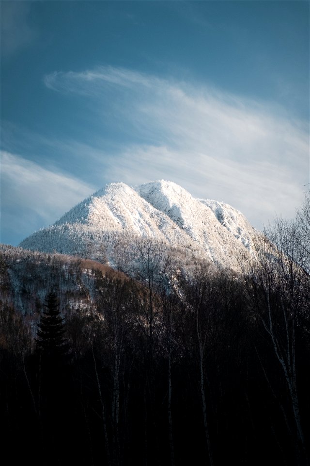 White summit
