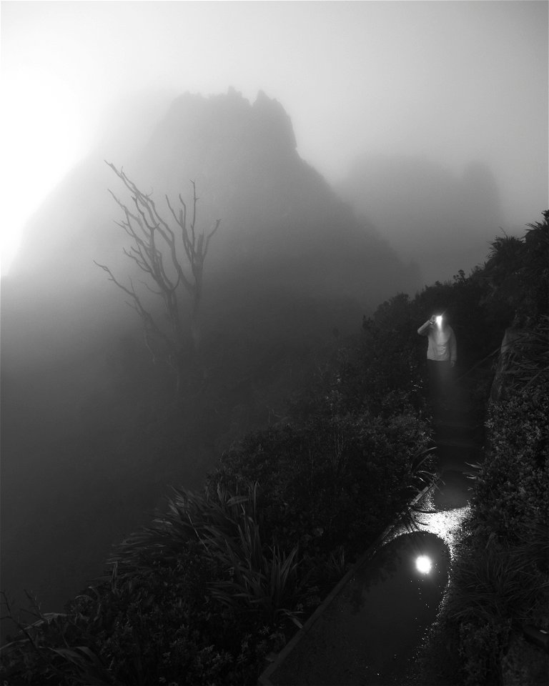 Frontal light
