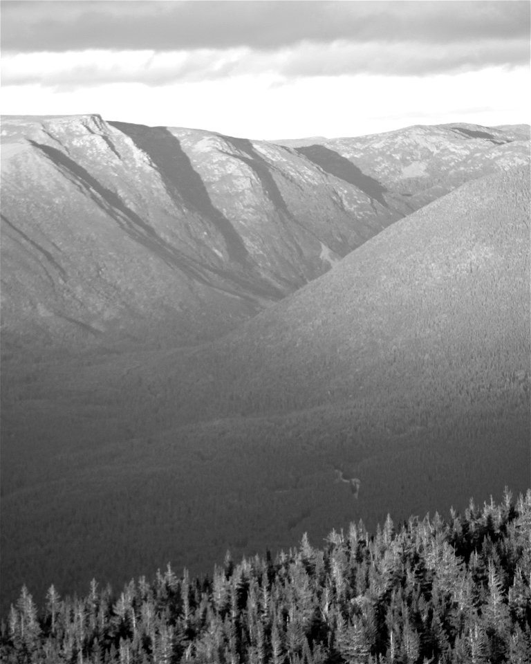 Dark layers