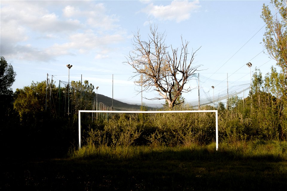 The Goalpost
