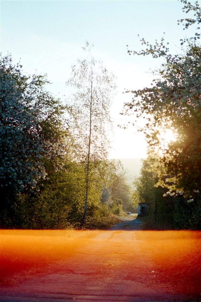 Sunset Fields