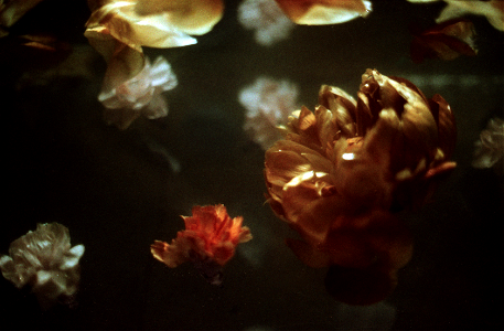 Flower Dance