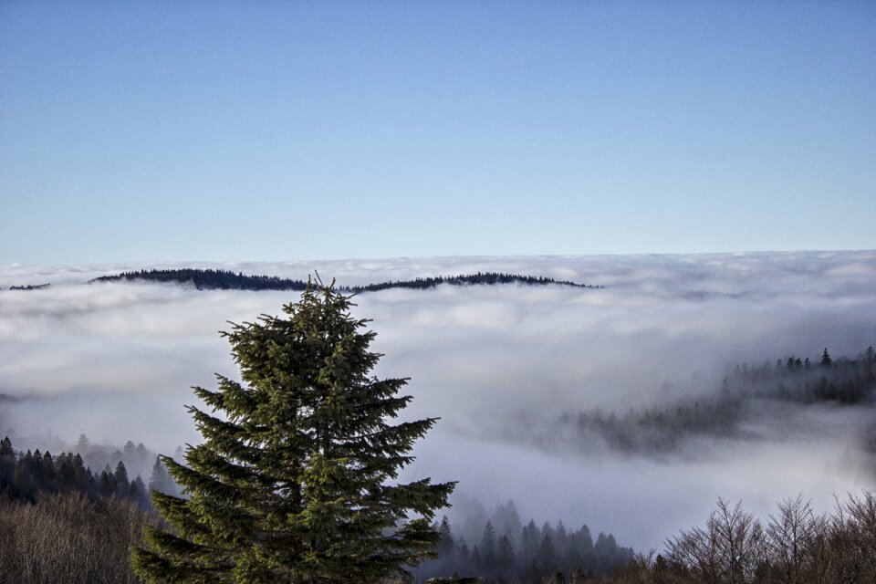 Sky mountains vosges