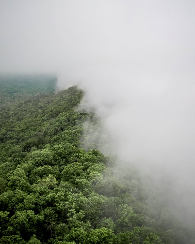 Foggy mountain