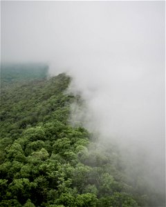 Foggy mountain photo