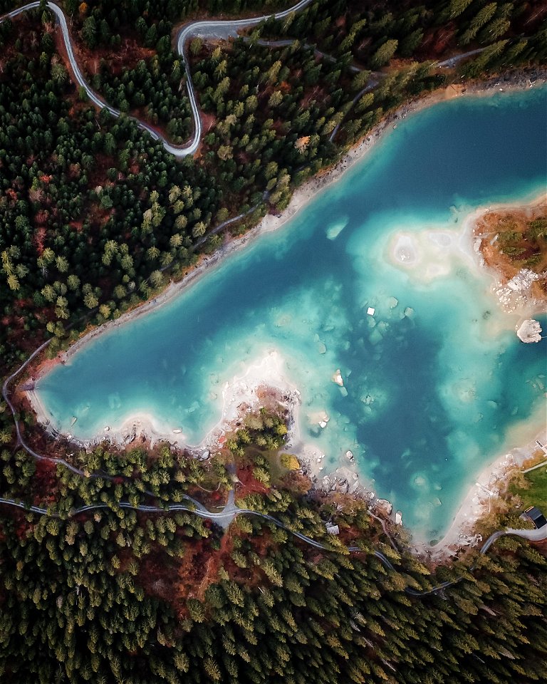 Lake and forest