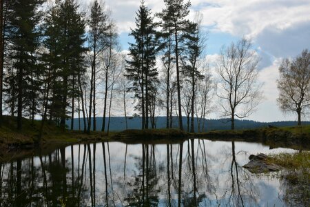 Lake landscape trees photo