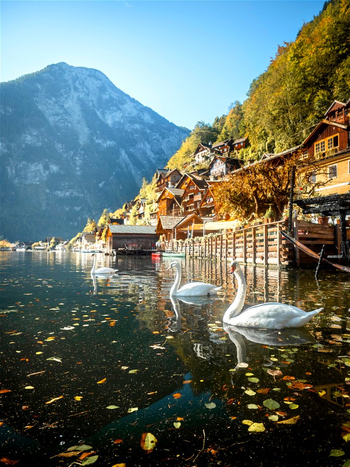 Village in Austria