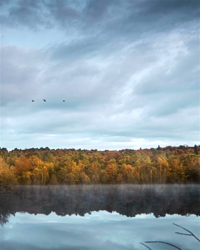 Reflection