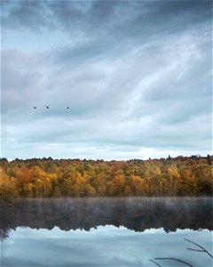 Reflection
