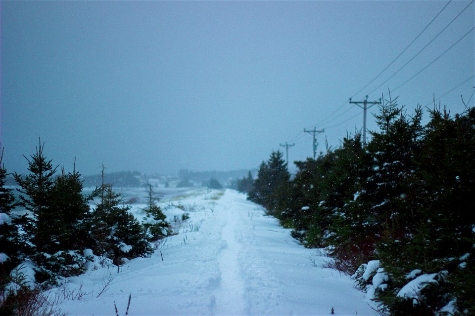 Winter road photo