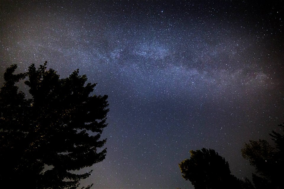 Staring At The Stars