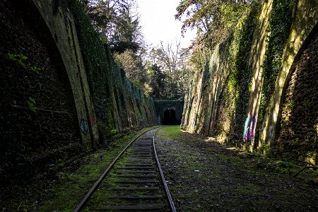 Abandoned Railroad photo