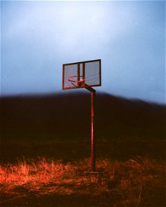 Lost Basket photo