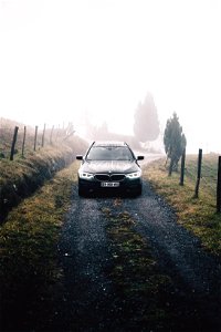 Back to countryside