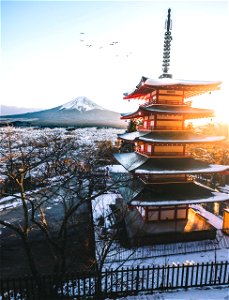 Temple sunset photo