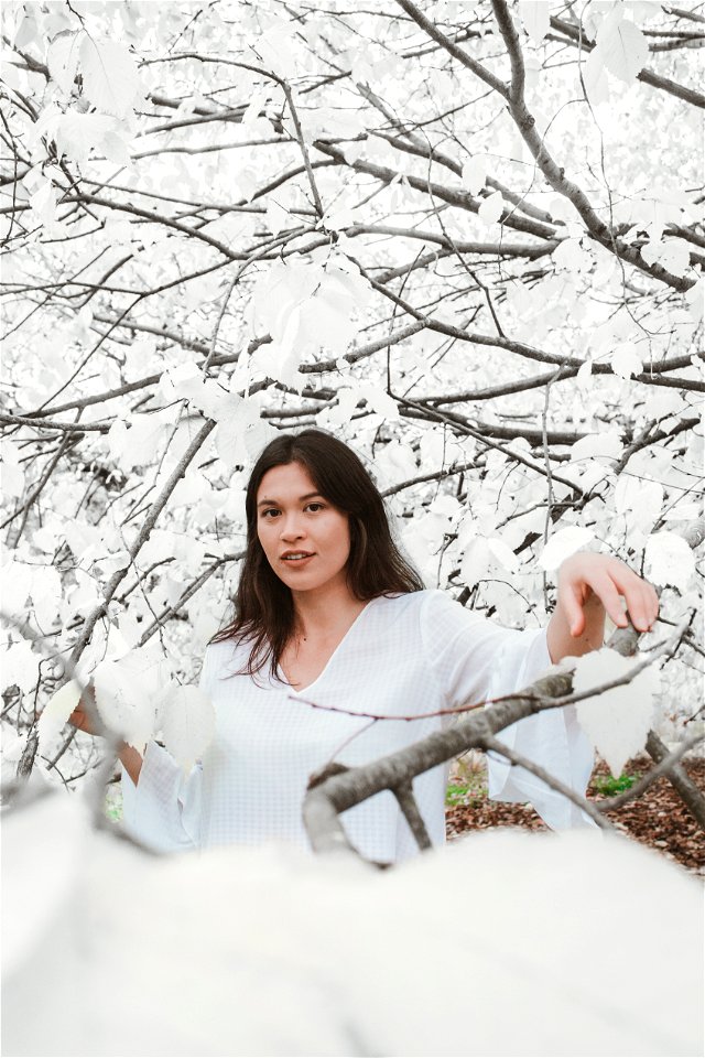 Angelique Dream