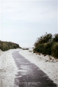 Path to the Beach photo