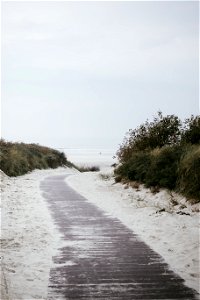 Path to the Beach